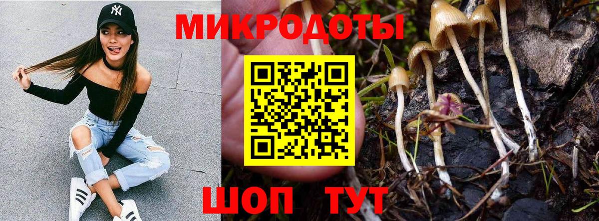 Мелеуз  Псилоцибиновые грибы Psilocybe  Вход с VPN 
